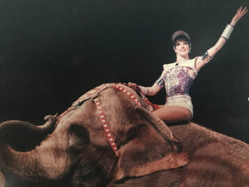 Sheryl May Ringling Brothers Barnum and Bailey Circus Elephant Riding